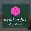 nyjidyu.pro